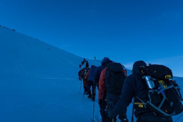 Galeria 3 Ravontrelia